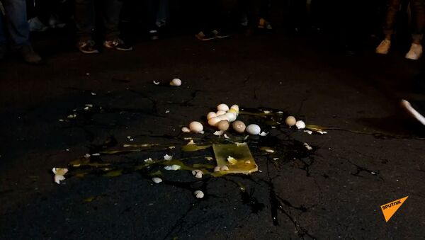 Представители оппозиции и их сторонники разбили несколько яиц у правительственной дачи в знак протеста - Sputnik Армения