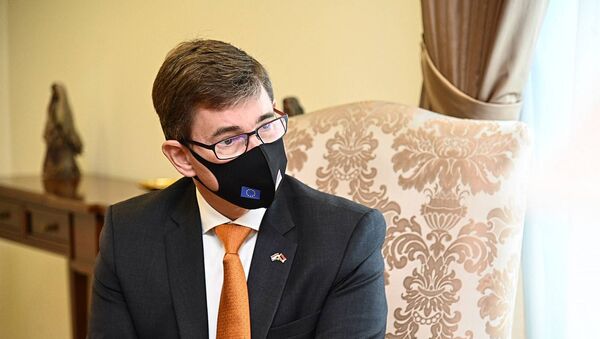 Новоназначенный посол Королевства Нидерландов в Армении Нико Схермерса на встрече с министром иностранных дел Армении (4 сентября 2020). Еревaн - Sputnik Արմենիա