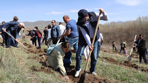 В рамках акции «10 миллионов деревьев» сотрудники Ширакской мэрии посадили деревья на участке Капс Гюмрийского лесничества (25 апреля  2021). Гюмри - Sputnik Արմենիա