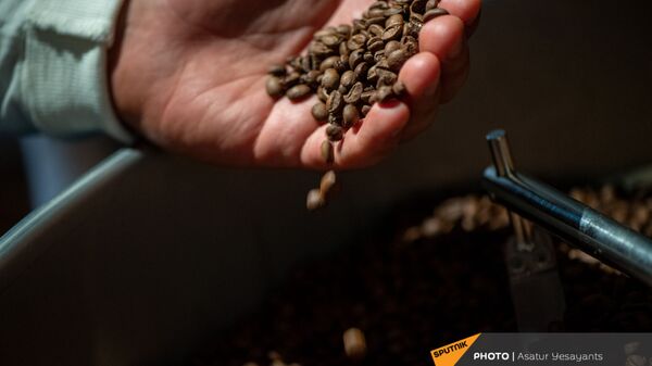 Зерна кофе - Sputnik Արմենիա