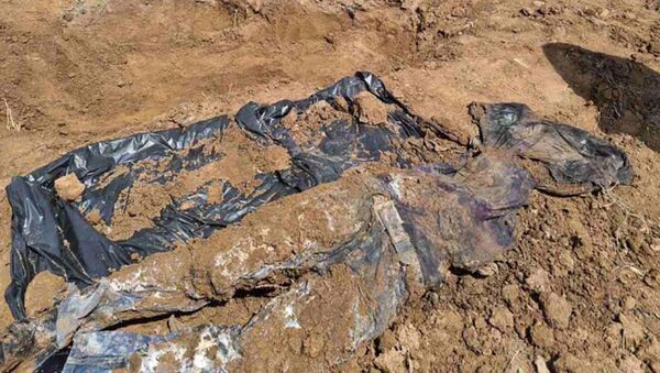Найденные человеческие останки посреди поля на окраине села Капутан (30 апреля 2021). Котайк - Sputnik Արմենիա