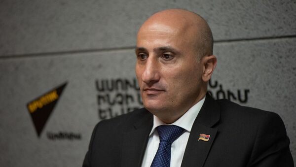 Հովակիմյան. «Այս փոփոխությունների անհրաժեշտությունը կար դեռ 2018 թվականին» - Sputnik Արմենիա