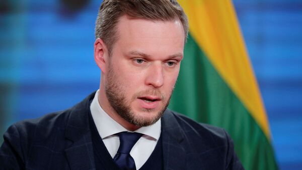 Министр иностранных дел Литвы Габриэлиус Ландсбергис - Sputnik Արմենիա
