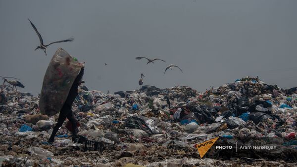 Люди и аисты на свалке неподалеку от города Масис - Sputnik Армения