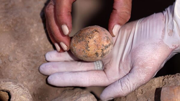 Археолог показывает 1000-летнее куриное яйцо, обнаруженное во время раскопок в центральном городе Явне (9 июня 2021). Израиль - Sputnik Армения