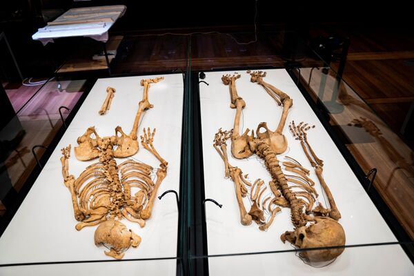 Հարազատների կմախքները Դանիայի ազգային թանգարանում - Sputnik Արմենիա