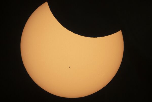 Թռչնի ուրվագիծ արևի ֆոնին` Սանկտ Պետերբուրգում արևի մասնակի խավարման ժամանակ - Sputnik Արմենիա