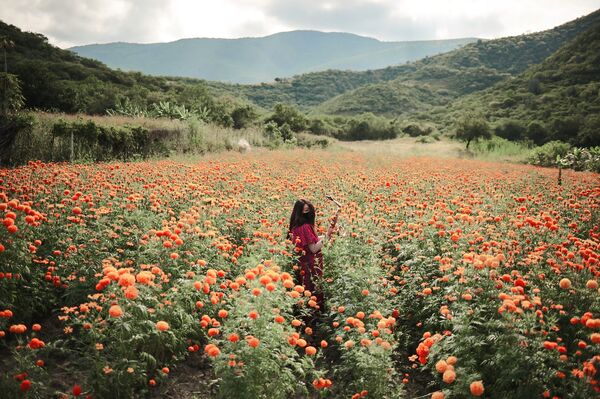 Մեքսիկացի լուսանկարիչ Elipe Mahe–ի «Մարիա Էլեն» աշխատանքը - Sputnik Արմենիա