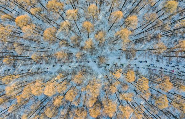 Չինացի լուսանկարիչ Չանգ Խուի «Դահուկների վրա գարնանը» աշխատանքը - Sputnik Արմենիա