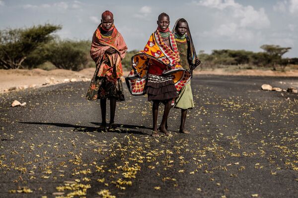 Իսպանացի լուսանկարիչ Լուիս Տատոյի «Մորեխների ներխուժումը Աֆրիկայի արևելքում» աշխատանքը - Sputnik Արմենիա