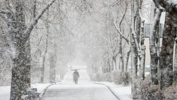 Снегопад в Карелии - Sputnik Армения
