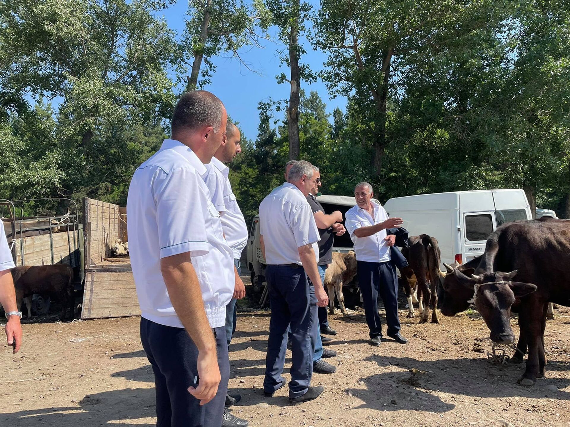 Կենդանիների մոտ սիբիրյան խոցի նոր դեպքեր չկան. ՀՀ ամենամեծ անասնաշուկան վերահսկվում է Կենդանիների մոտ սիբիրյան խոցի նոր դեպքեր չկան. ՀՀ ամենամեծ անասնաշուկան վերահսկվում է - Sputnik Արմենիա, 1920, 04.07.2021