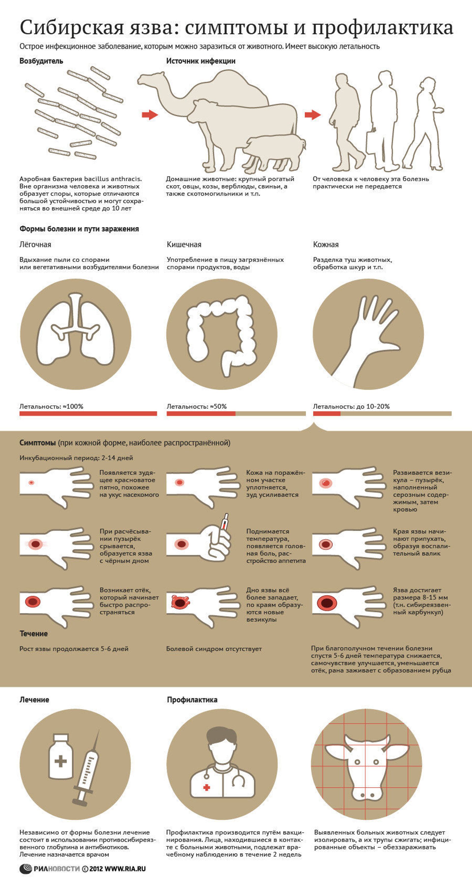 Симптомы сибирской язвы. Сибирская язва симптомы. Сибирская язва симптомы и профилактика. Сибирская язык симптомы. Профилактика сибирской язвы.