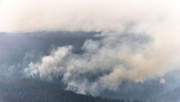 Лесной пожар в Якутии - Sputnik Армения