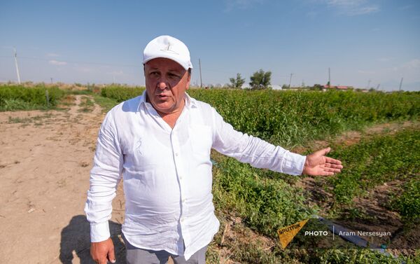«Նորատունկ» ՓԲԸ հիմնադիր–սեփականատեր Հովհաննես Հովհաննիսյան «Նորատունկ» ՓԲԸ հիմնադիր–սեփականատեր Հովհաննես Հովհաննիսյան - Sputnik Արմենիա