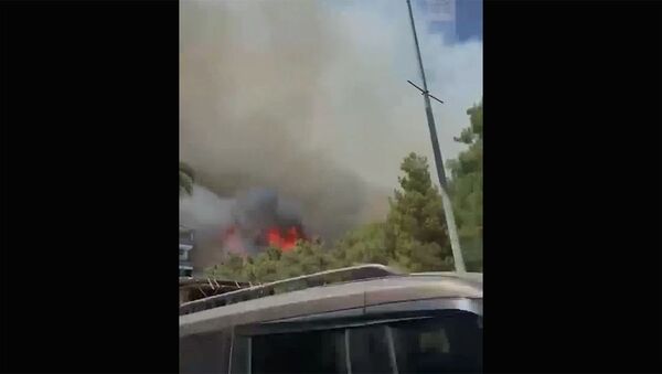 В турецкой Анталье лесные пожары подобрались к жилым домам и гостиницам - Sputnik Армения