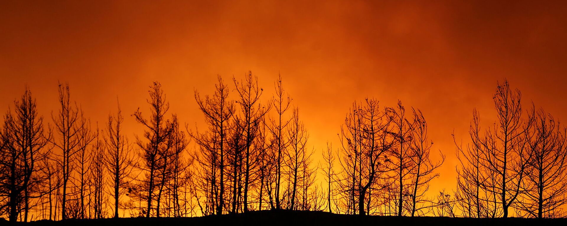 Лесной пожар близ города Манавгат, к востоку от курортного города Анталья (29 июля 2021). Турция - Sputnik Армения, 1920, 30.07.2021
