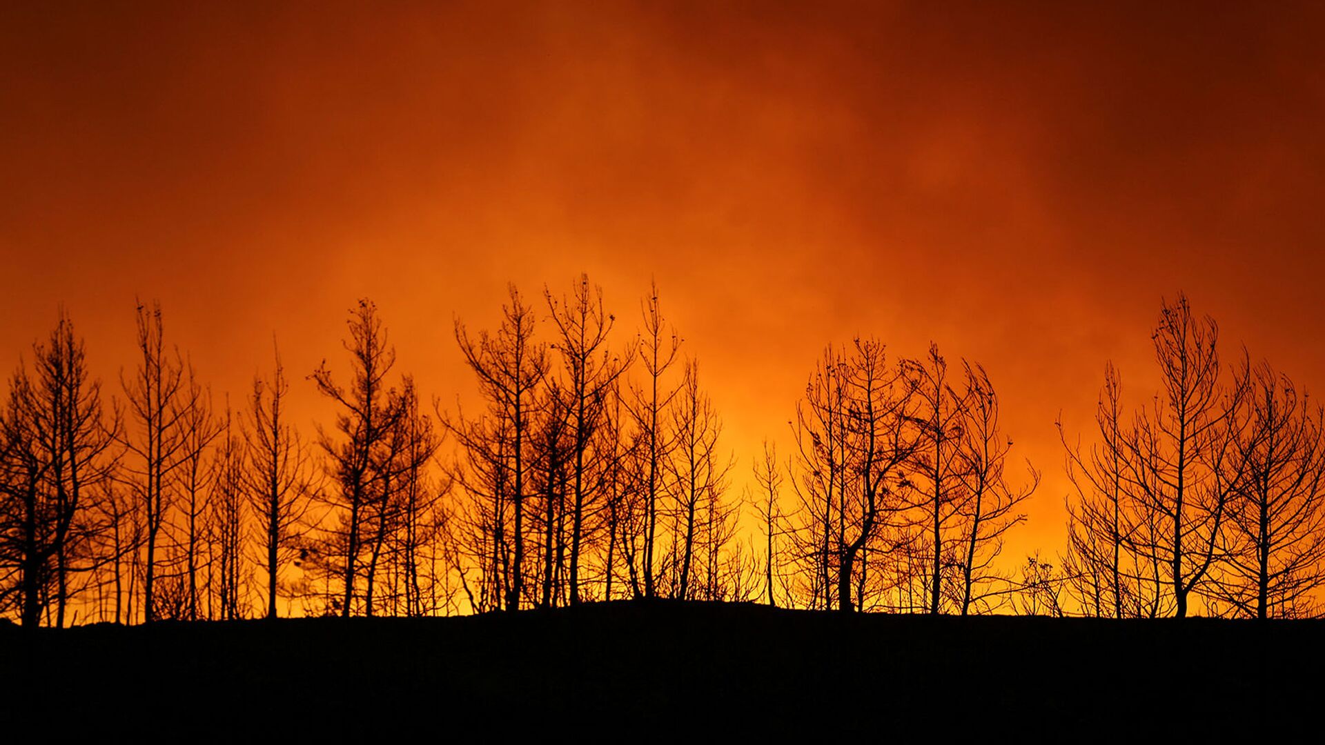 Лесной пожар близ города Манавгат, к востоку от курортного города Анталья (29 июля 2021). Турция - Sputnik Армения, 1920, 29.07.2021