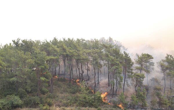 Лесной пожар близ города Манавгат, к востоку от курортного города Анталья (29 июля 2021). Турция - Sputnik Армения
