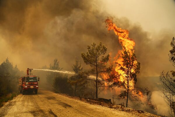 Пожарный тушит лесной пожар недалеко от города Манавгат, к востоку от курортного города Анталия (30 июля 2021).  Турция - Sputnik Армения