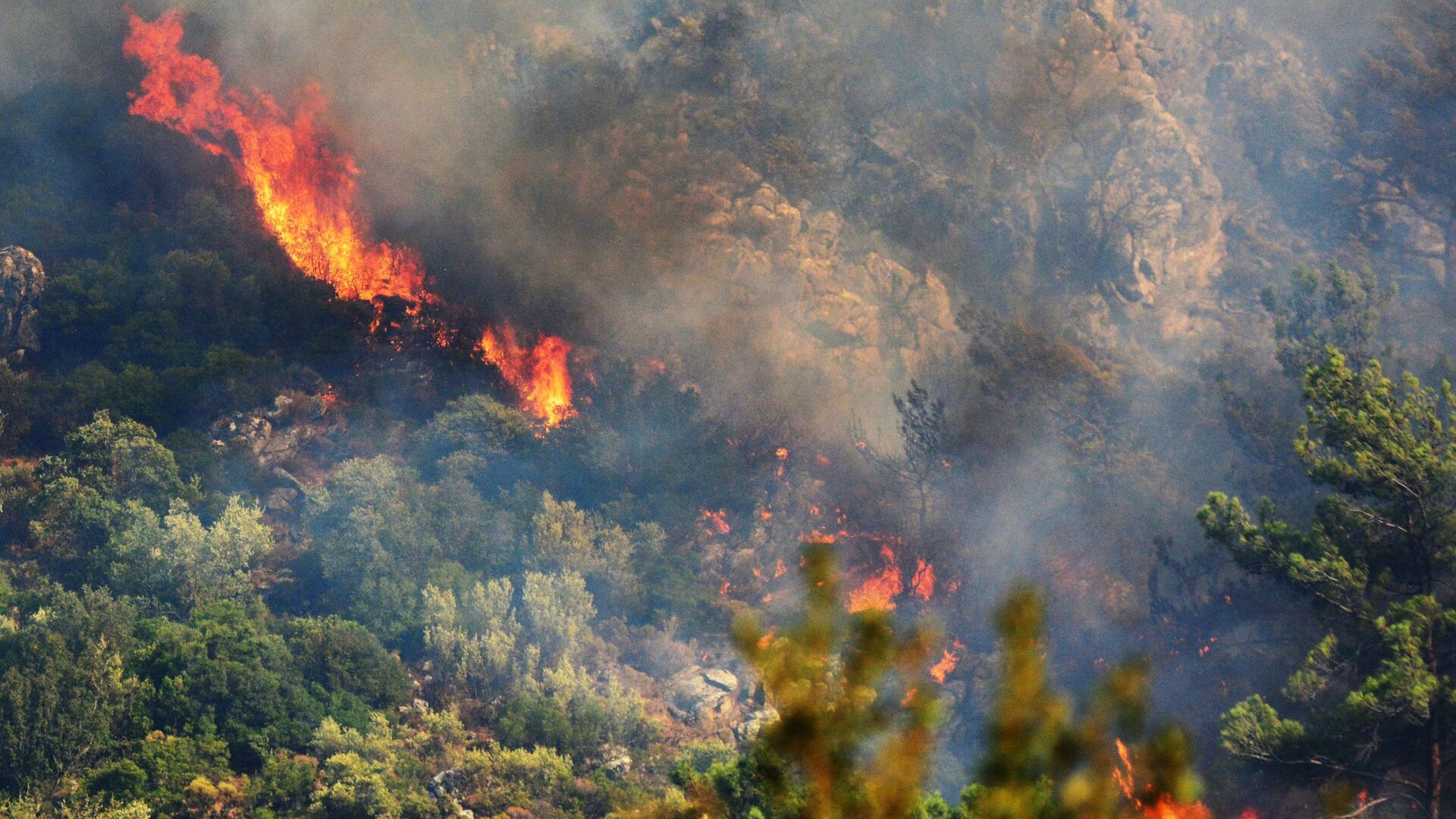 Лесной пожар в окрестностях турецкого города Мармарис - Sputnik Армения, 1920, 21.06.2022