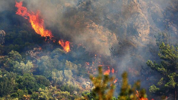 Лесной пожар в окрестностях турецкого города Мармарис - Sputnik Արմենիա