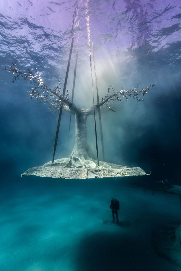 Установка дерева в музей подводной скульптуры Musan у пляжа Пернера в Айя-Напе, Кипр.  - Sputnik Армения