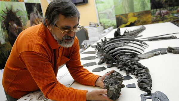 Палеонтолог работает с ископаемым скелетом - Sputnik Армения