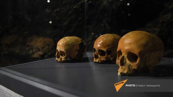 Найденные черепа в пещере Арени - Sputnik Армения