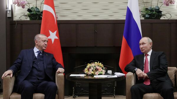 Ռուսաստանի ու Թուրքիայի նախագահներ Վլադիմիր Պուտինն ու Ռեջեփ Թայիփ Էրդողանը  - Sputnik Արմենիա