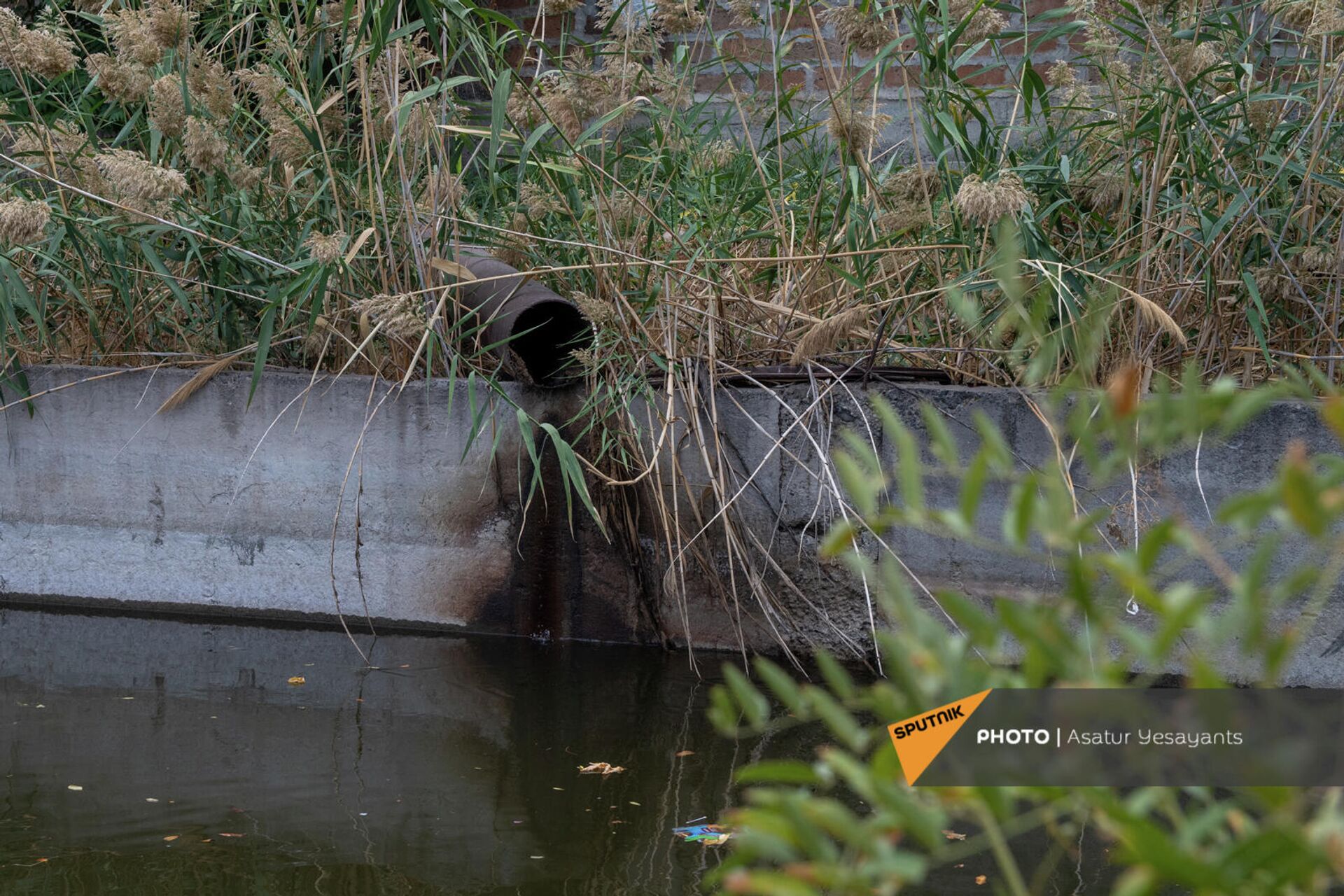 канализационная труба свиновермы Ви Ар Агро вливается в канал - Sputnik Արմենիա, 1920, 05.10.2021
