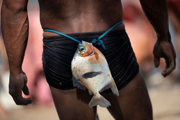 Յավալապիտի ցեղի տղամարդը հուղարկավորության ծեսի ժամանակ գոտու վրա ձուկ կապած։ - Sputnik Արմենիա