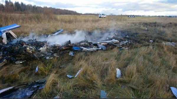 Մերձմոսկվայում թեթև շարժիչով ինքնաթիռ է կործանվել - Sputnik Արմենիա