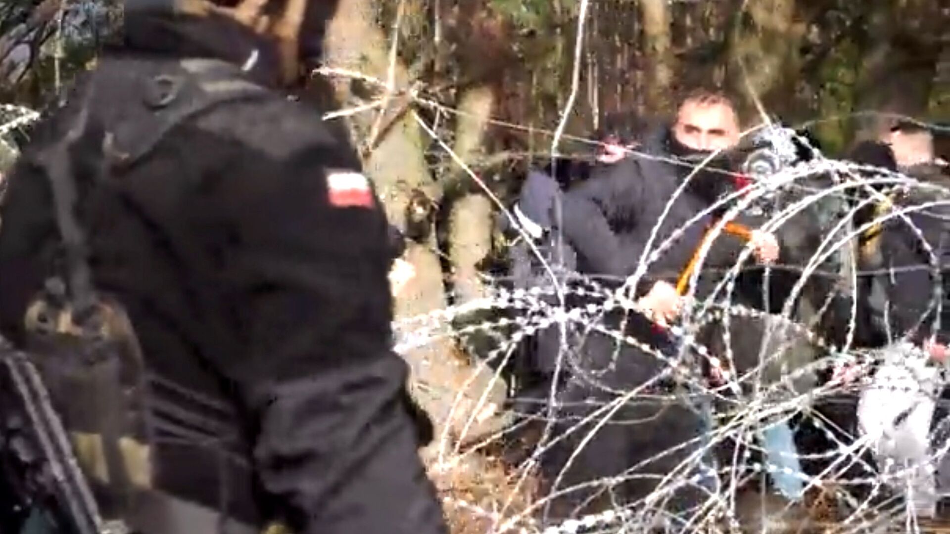 Польская полиция и пограничники блокируют сотни мигрантов - Sputnik Армения, 1920, 09.11.2021