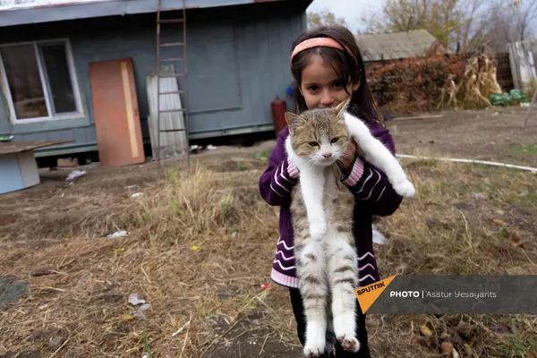 Кошка в руках маленькой Армине - Sputnik Армения