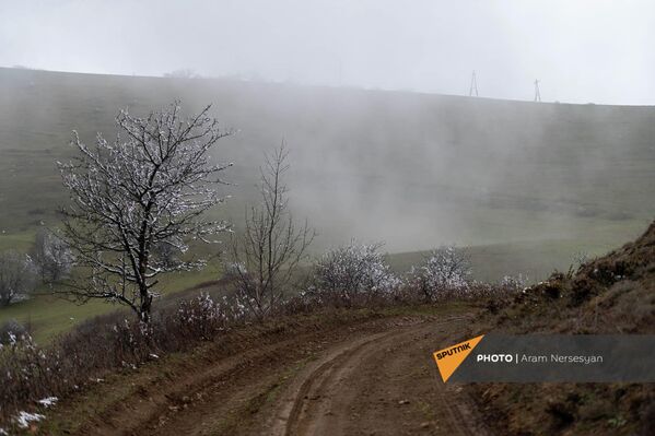 Зеленые луга соседствуют здесь со снежным покровом. - Sputnik Армения