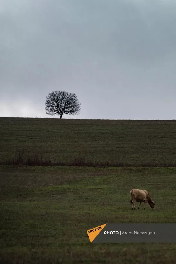 До начала строительства здесь проходил туристический маршрут, сохранились таблички. - Sputnik Армения