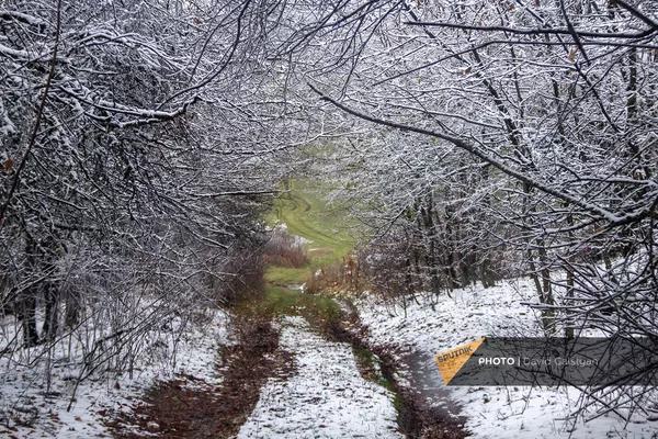 Времена года на этой дороге "чередуются" - Sputnik Армения