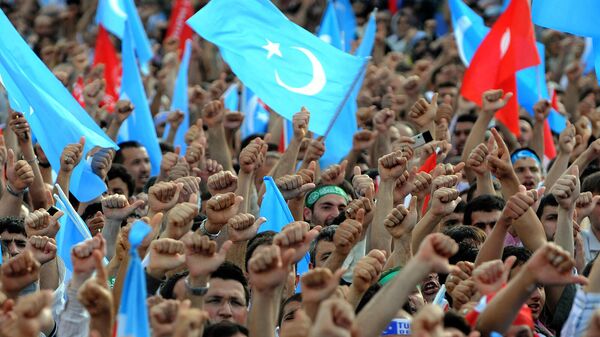 Демонстранты с флагами ОТГ и Турции во время акции протеста (12 июля 2009). Стамбул - Sputnik Армения