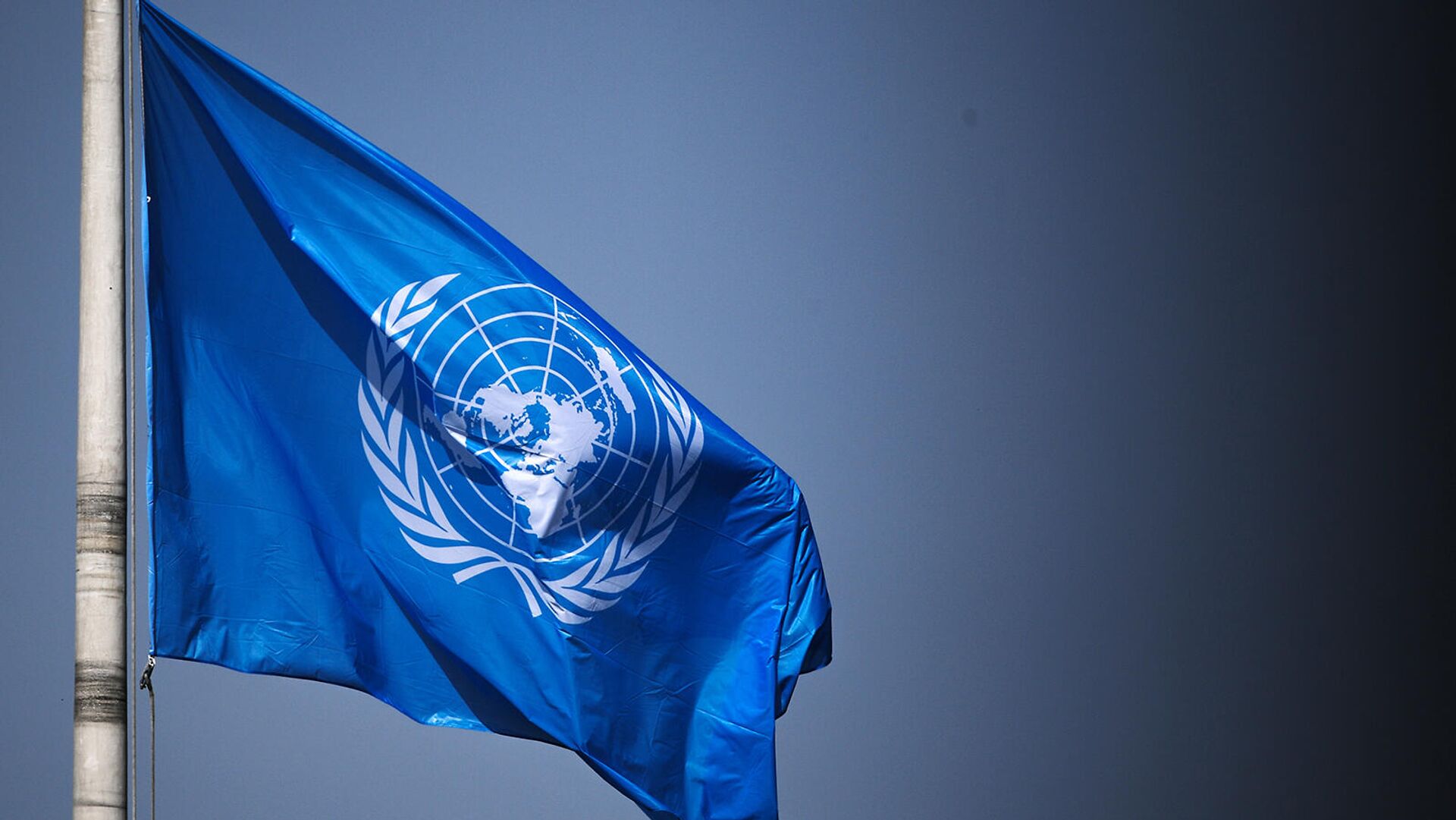 Флаг Организации Объединенных Наций на территории Дворца мира в Гааге - Sputnik Армения, 1920, 08.03.2022