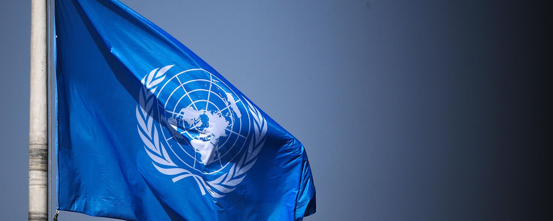 Флаг Организации Объединенных Наций на территории Дворца мира в Гааге - Sputnik Армения, 1920, 22.09.2021