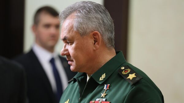Министр обороны РФ Сергей Шойгу - Sputnik Армения