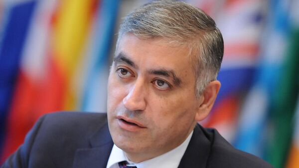 Постоянный представитель РA в ОБСЕ,  посол Армен Папикян во время выступления в Постоянном совете ОБСЕ (18 ноября 2021). Вена - Sputnik Армения