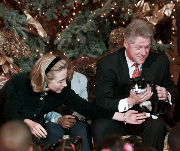 Президент США Билл Клинтон и его супруга Хиллари с котом Соксом в Белом доме в Вашингтоне, 1996 год. - Sputnik Армения