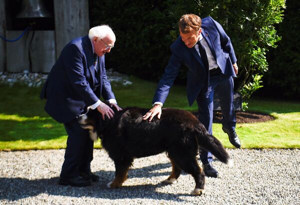 Ֆրանսիայի և Իռլանդիայի նախագահներ Էմանուել Մակրոնն ու Մայքլ Հիգիսը վերջինիս շան հետ։ - Sputnik Արմենիա