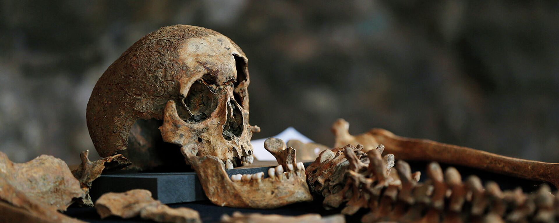 Скелет из археологических раскопок в Британии - Sputnik Армения, 1920, 09.12.2021