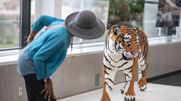 Скульптура тигра на выставке в Калифорнийском научном центре в Лос-Анджелесе - Sputnik Армения
