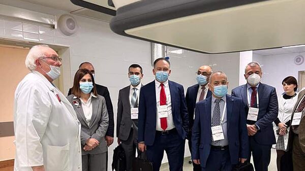 Министр здравоохранения Армении Анаит Аванесян встретилась с проживающими в России известными медработниками, деятелями сферы здравоохранения армянского происхождения - Sputnik Армения