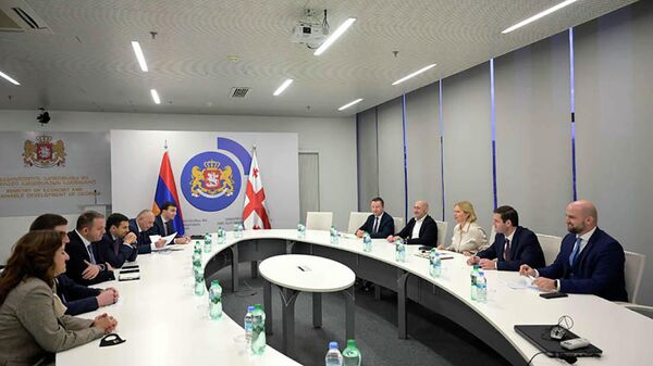 Министр экономики Ваан Керобян на встрече с министром экономики и устойчивого развития Натией Турнава (20 декабря 2021). Тбилиси - Sputnik Армения