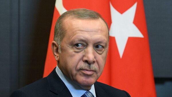 «Թուրքիան ինչ-որ բան արդեն ստացել է, եթե նրա նախապայմանները կատարվում են». Լոքմագյոզյան - Sputnik Արմենիա